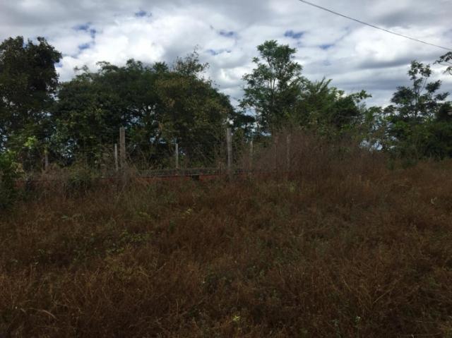 FAZENDA A VENDA EM MATO GROSSO (Dupla Aptidão) - Foto 8