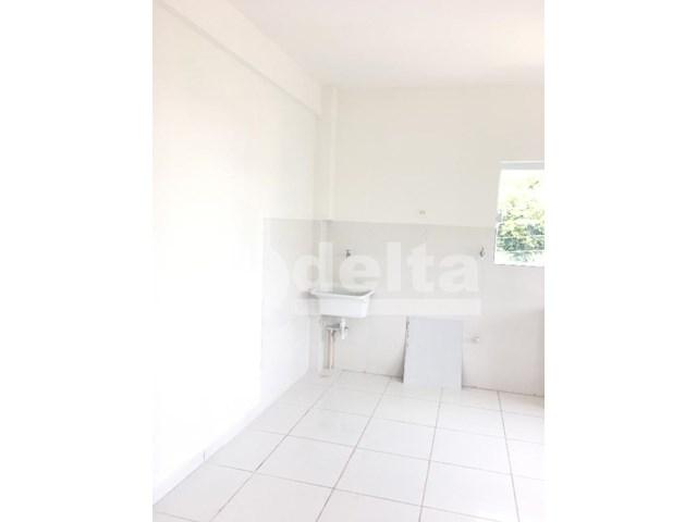 Apartamento para alugar com 3 dormitórios em Santa mônica, Uberlândia cod:571599 - Foto 8
