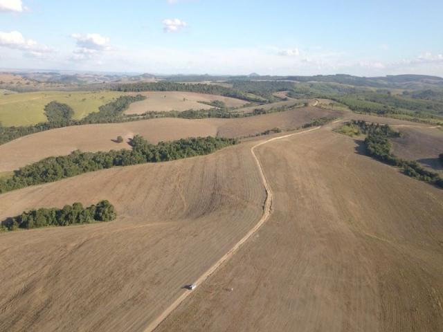Vendo fazenda 350 alqueires em arapoti-pr - Foto 6