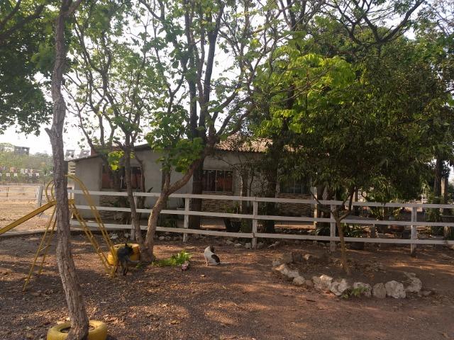 Chácara 2.5 ha, linha 16 cinturão verde - Foto 13