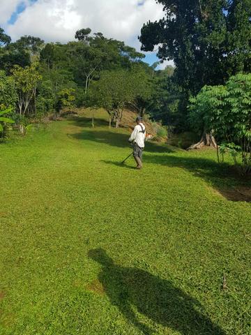 Casas, Sitio, fazenda e terrenos - Foto 2