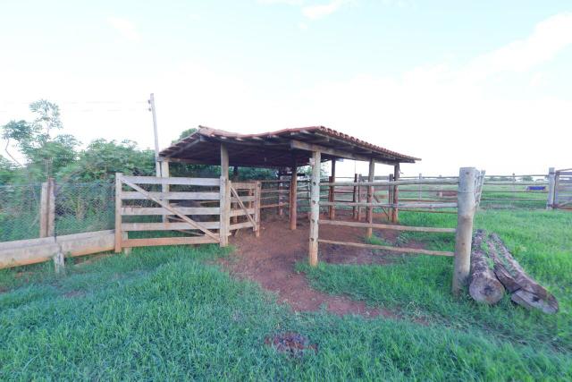 Chácara 1,5 alqueires município Morrinhos - Foto 10