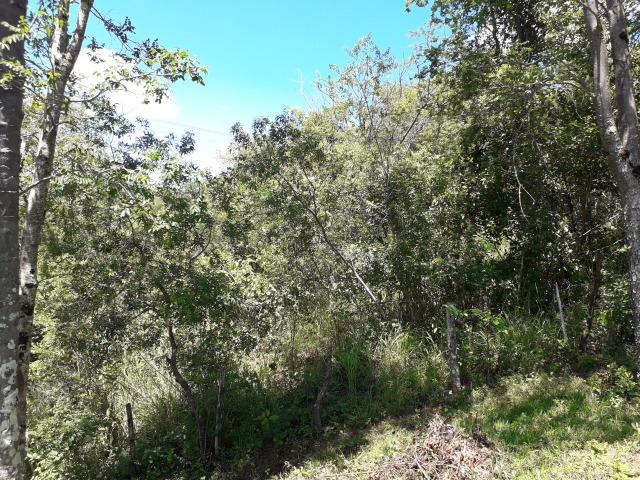 Chácara Taquaraçu de Minas *Ótima localização* - Foto 13