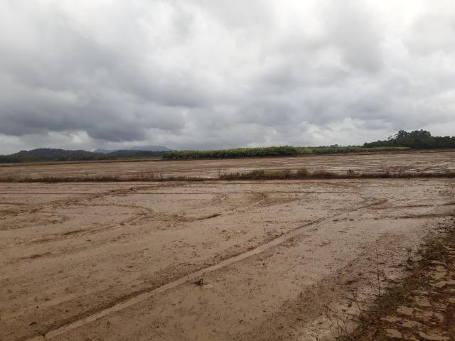 Fazenda Linda para Plantio de Arroz, Aceita parte Parcelado