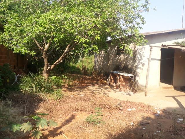 Lote de 250 m² de frente a praça serve como residencial e comercial no madre germana 2 - Foto 8