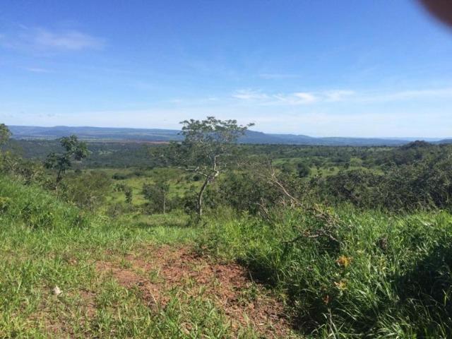 100 Alq. Planta 20 Vermelha Formada Montada Represa na Porta Iporá GO - Foto 20