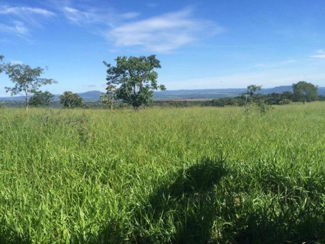 100 Alq. Planta 20 Vermelha Formada Montada Represa na Porta Iporá GO - Foto 9