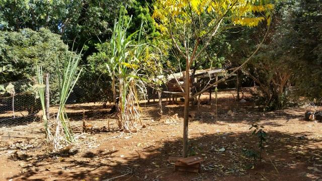 Vendo Lotes com Casas / oportunidade - Foto 6