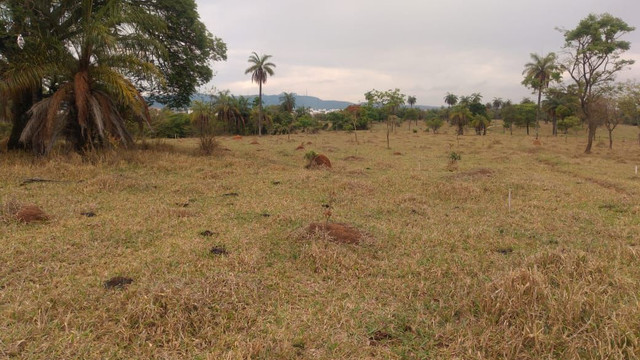 Lotes comerciais próximo ao bairro Iporanga  - Foto 4