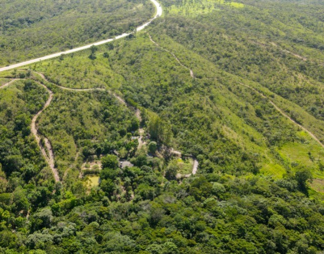 Maravilhosa Chácara com córrego com 4 hectares  - Foto 3