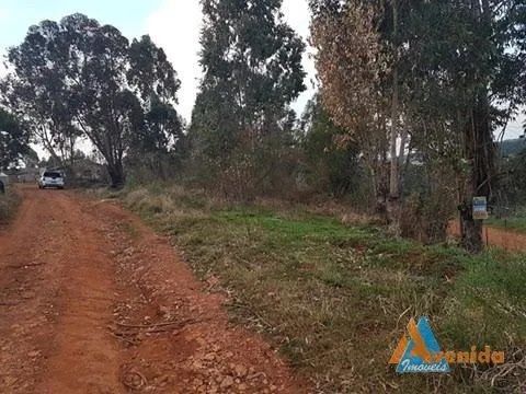 Excelente terreno de esquina em Uvaranas - A/c Permuta !!! - Foto 5