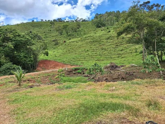 Sitio 19.52 Hectares - Foto 4