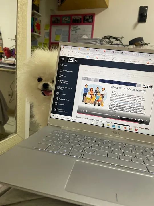 Notebook Dell - Novo - Ótimo para trabalho e estudo