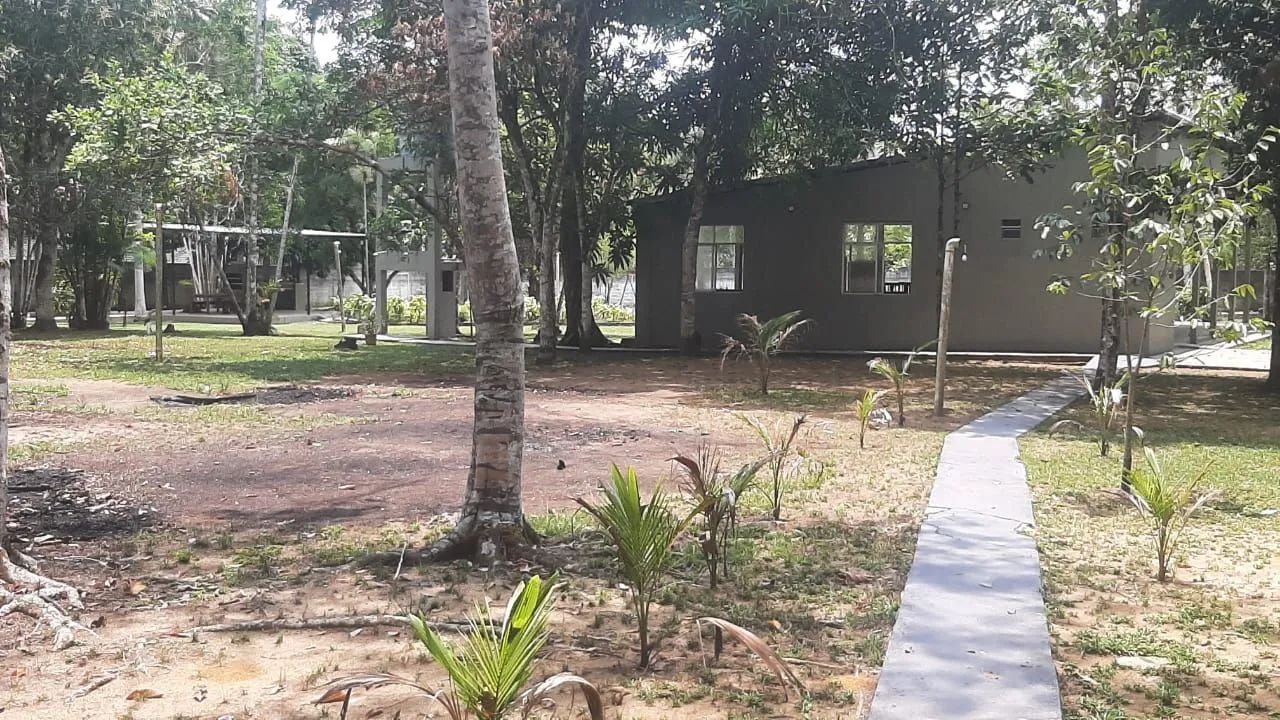 Sitio aluguel ou venda - Foto 3