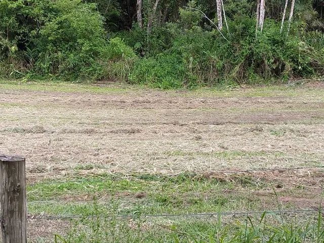 VENDO TERRENO 7600M²  OPORTUNIDADE ÚNICA  - Foto 3