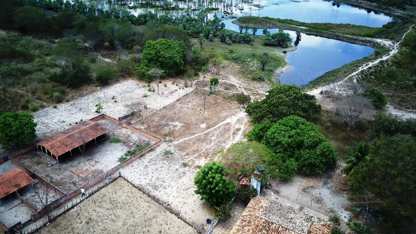 Fazenda dupla aptidão em Piracuruca - 4800 Hectares