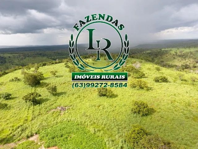 Fazenda 28 alqueires Próximo Taquaruçu - Foto 4