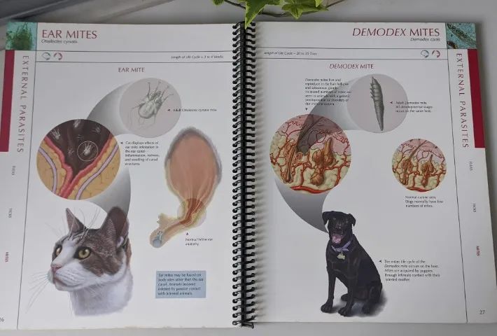 Livro - Pfizer Atlas Of Veterinary Clinical Parasitology  - Foto 3