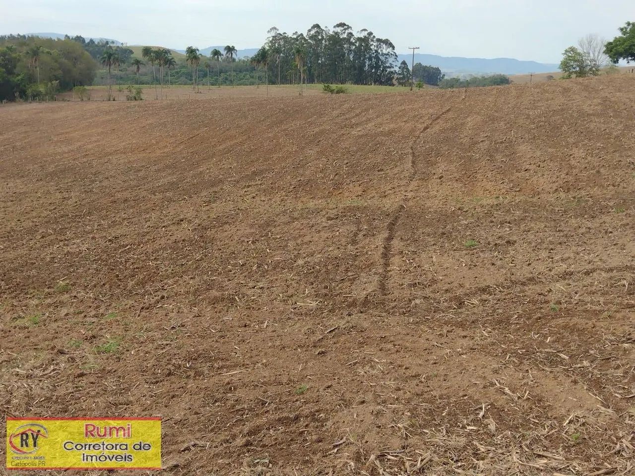 Vende-se Sítio 4.75 alqueires em Carlopolis PR