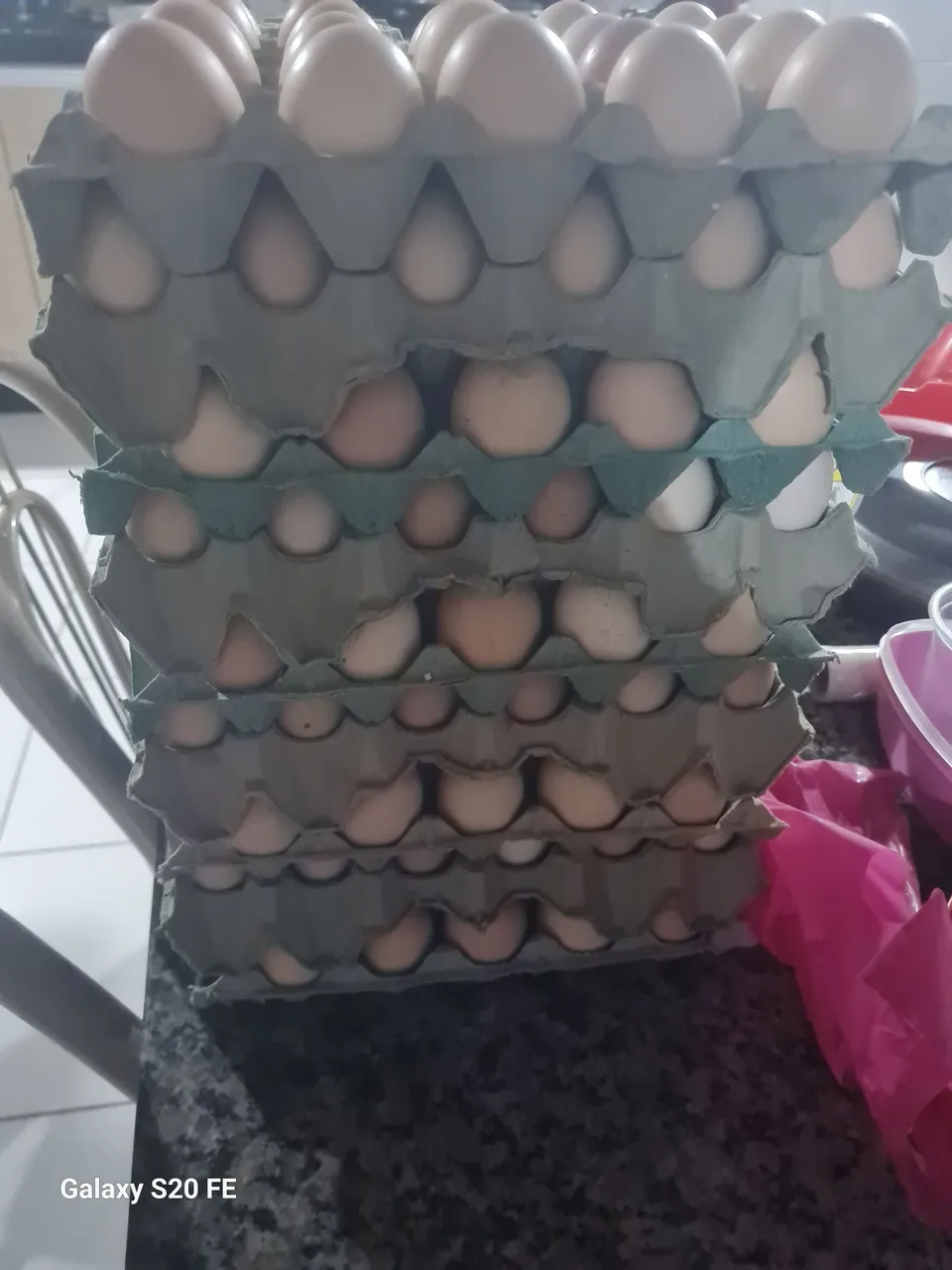Ovos frescos de galinha caipira galinhas caipira com galos gsb e indio cara de coruja