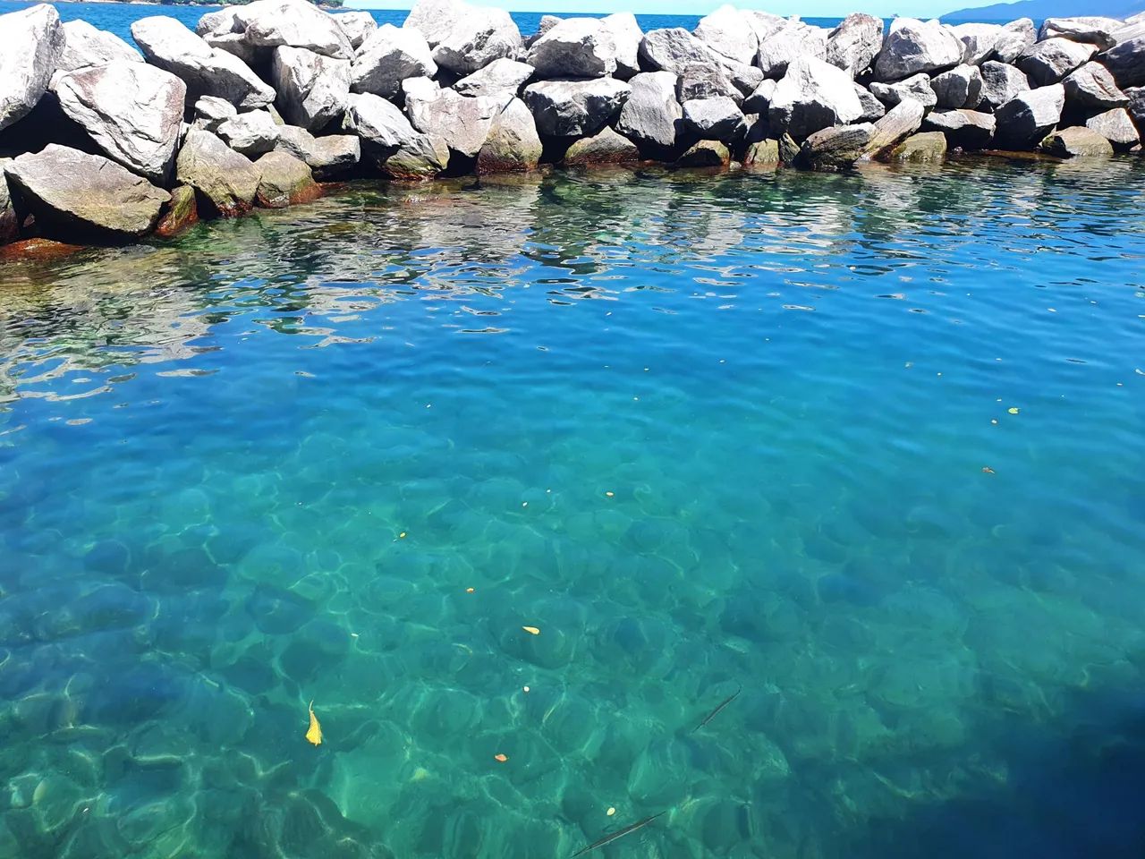 Angra porto real carnaval é dia comun - Foto 6