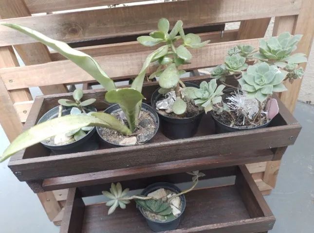 Floreira de madeira tipo cavalete com 6 cachepos rustica - Foto 6