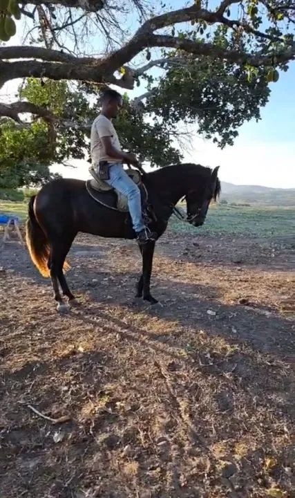 POTRO MANGALAGA  TRÊS ANOS  - Foto 3