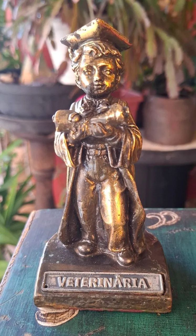 Estátua de Veterinário Colecionável