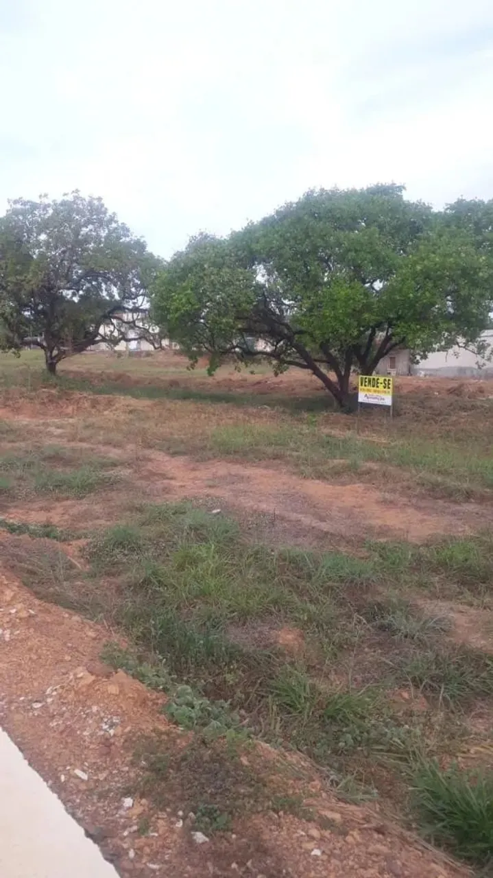 Vende-Se 2 Terrenos Juntos, 288 m² , Com Ótima Localização - QD 105 Norte