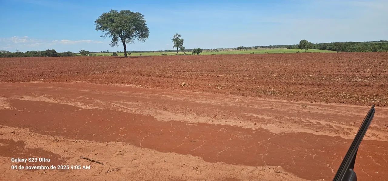 Fazenda de cana  - Foto 3