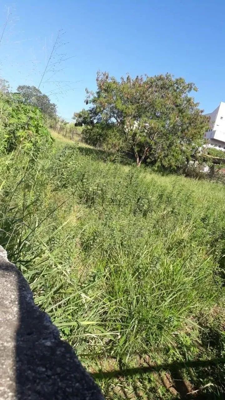 Terreno à venda e para alugar em Campinas, Jardim Conceição (Sousas), com 1445 m² - Foto 4