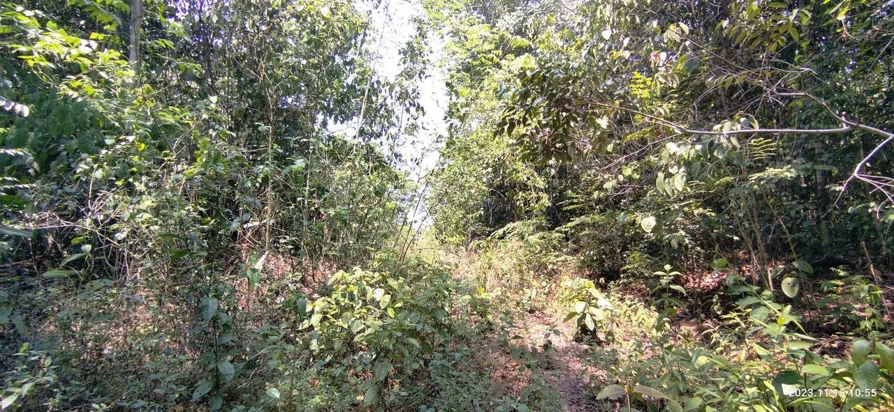 //Lote com 4000 M2 em Açutuba 