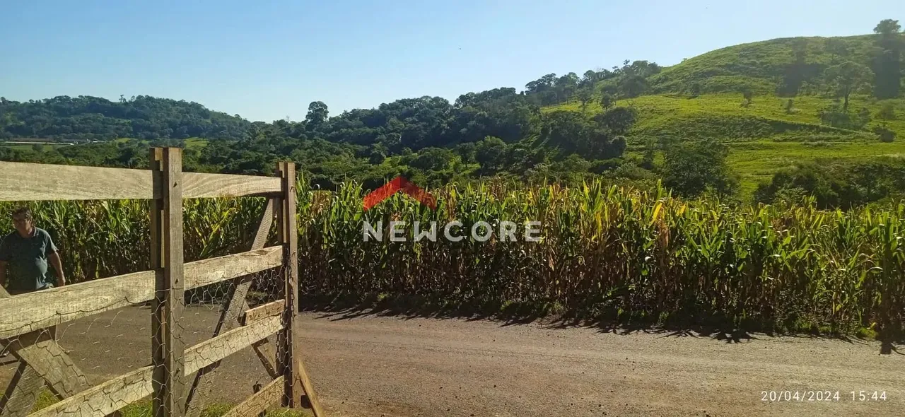 Chácara em estrada sem n° - Linha Sol e Ouro - Medianeira/PR