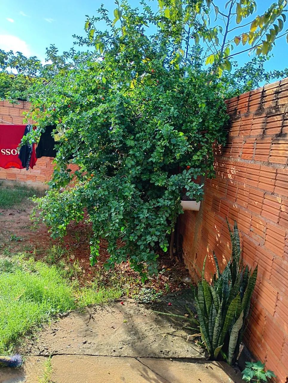 Casa  - Foto 3
