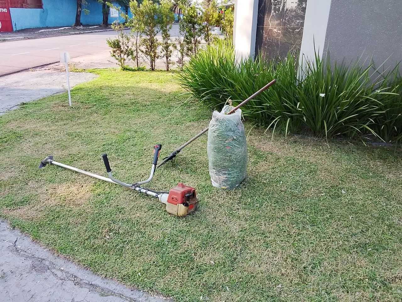 Limpeza de jardim e Roçado interessado no chat  - Foto 2