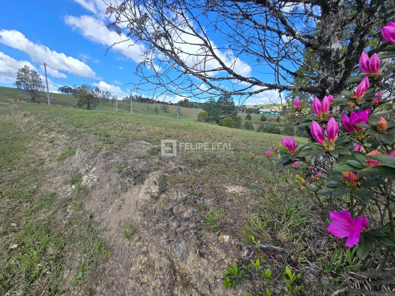 Terreno / Lote / Condomínio em Boa Vista - Rancho Queimado - Foto 4