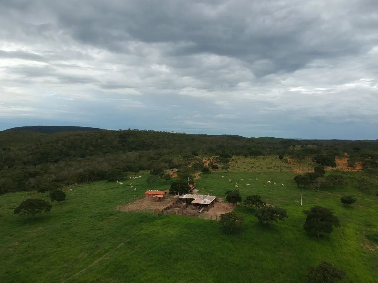Fazenda 10 Alqueire Planaltina Go - Foto 2