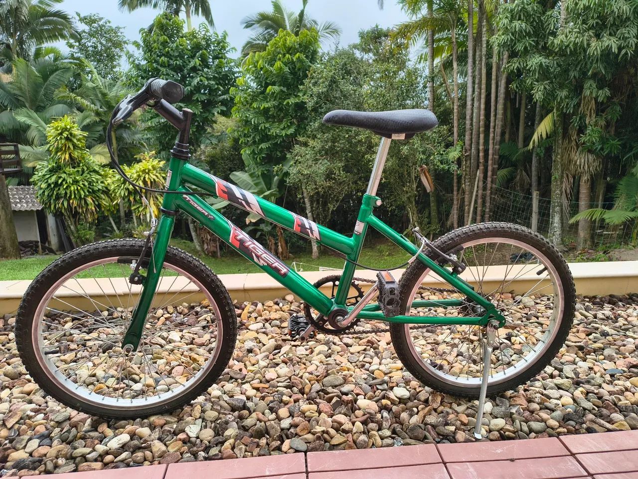 Bicicleta Tiger aro 20 