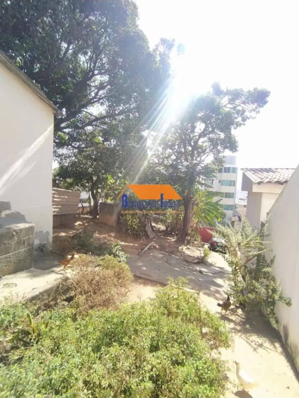 terreno Bairro Santo André em Belo Horizonte - Foto 5