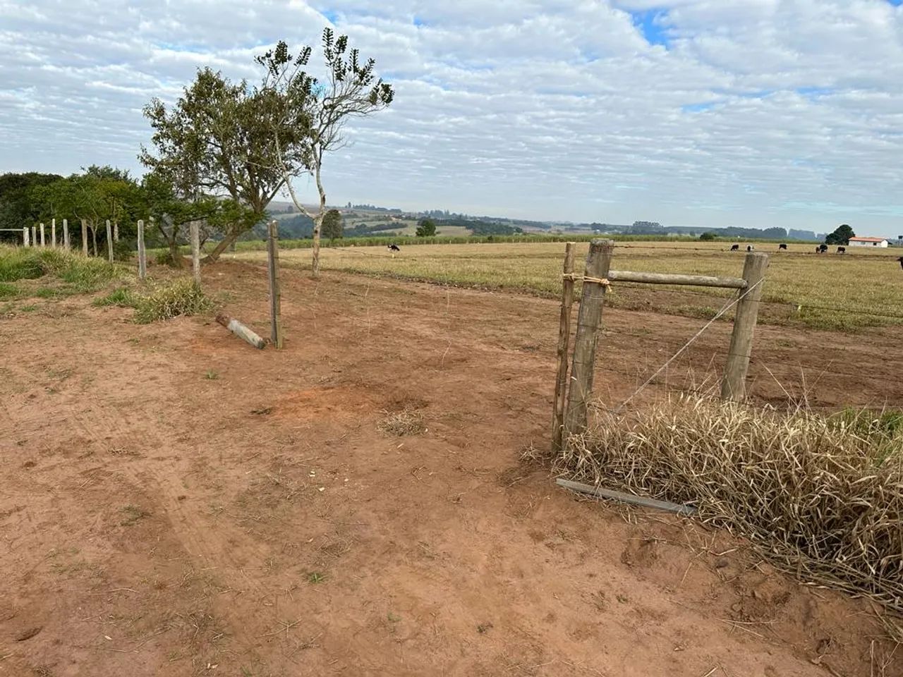 Terrenos  - Foto 3