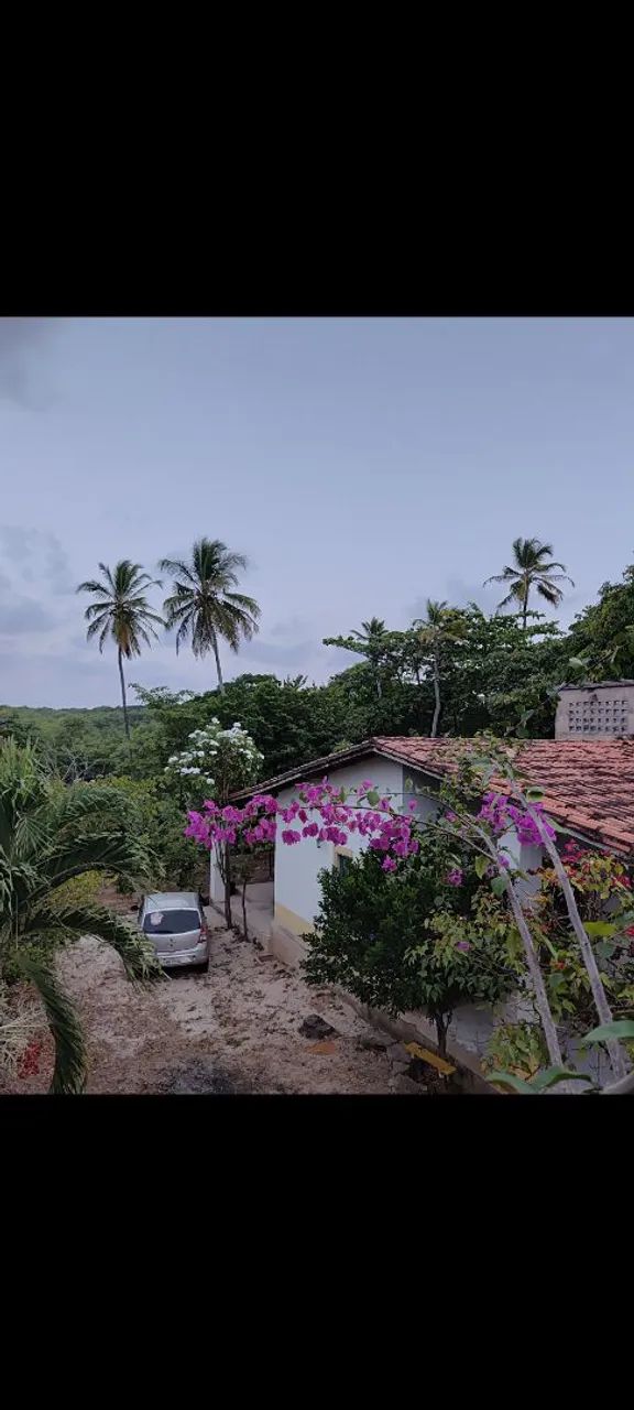 Foto - São Luís - Renascença