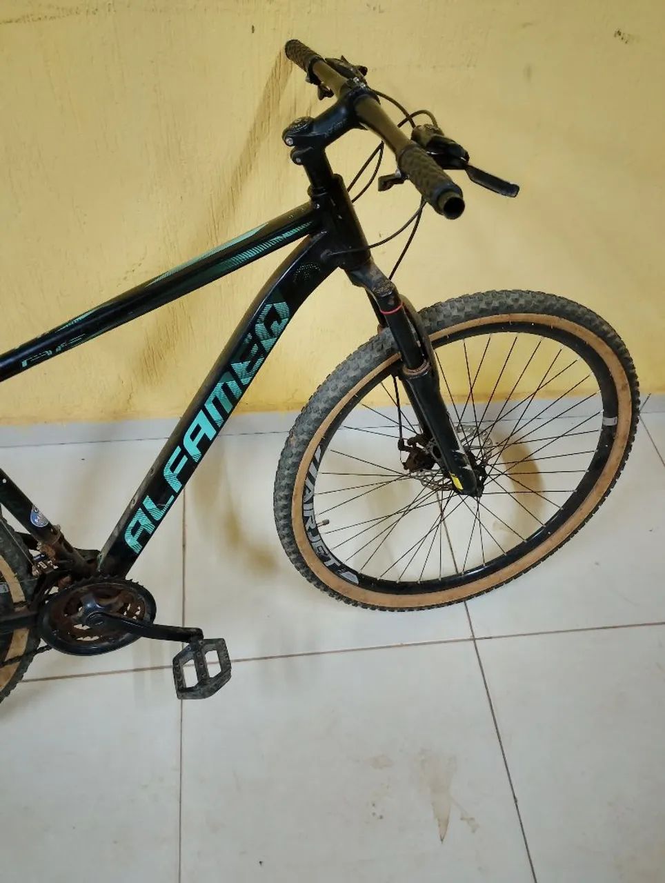 Baki alfameq aro 29