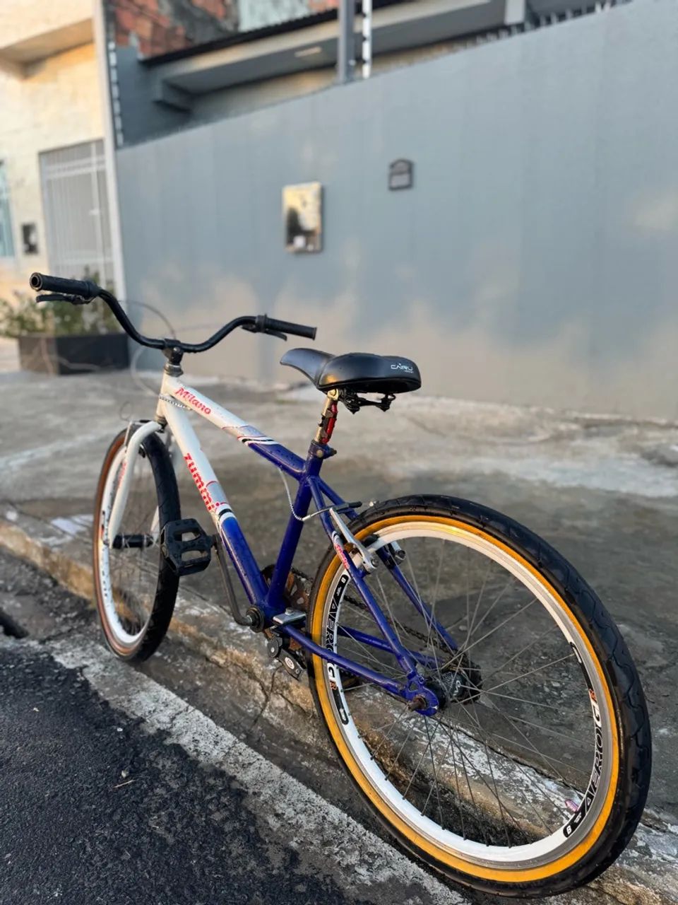 Bicicleta aro 24