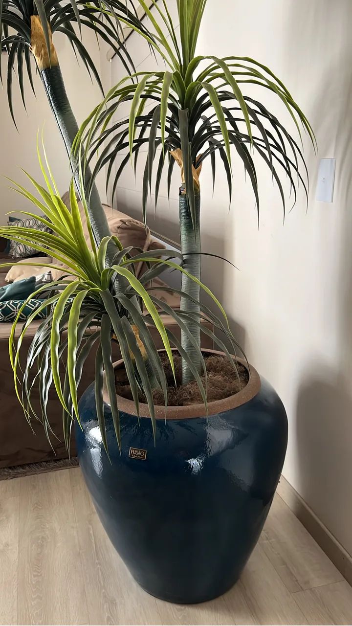 Vaso com plantas permanentes - Foto 2
