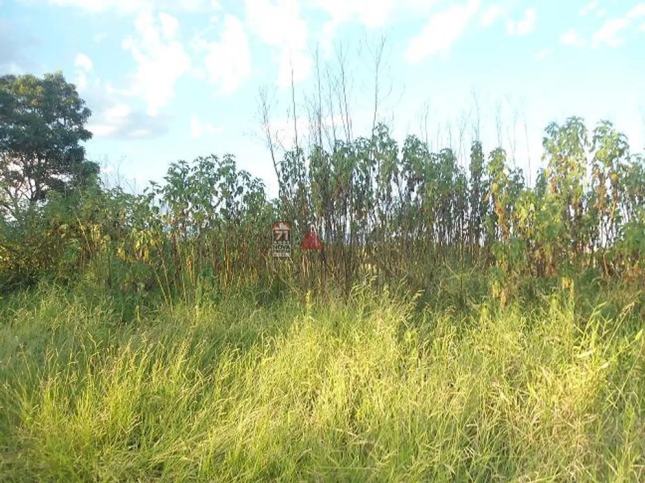 Terreno Padrão em Pindamonhangaba - Foto 5