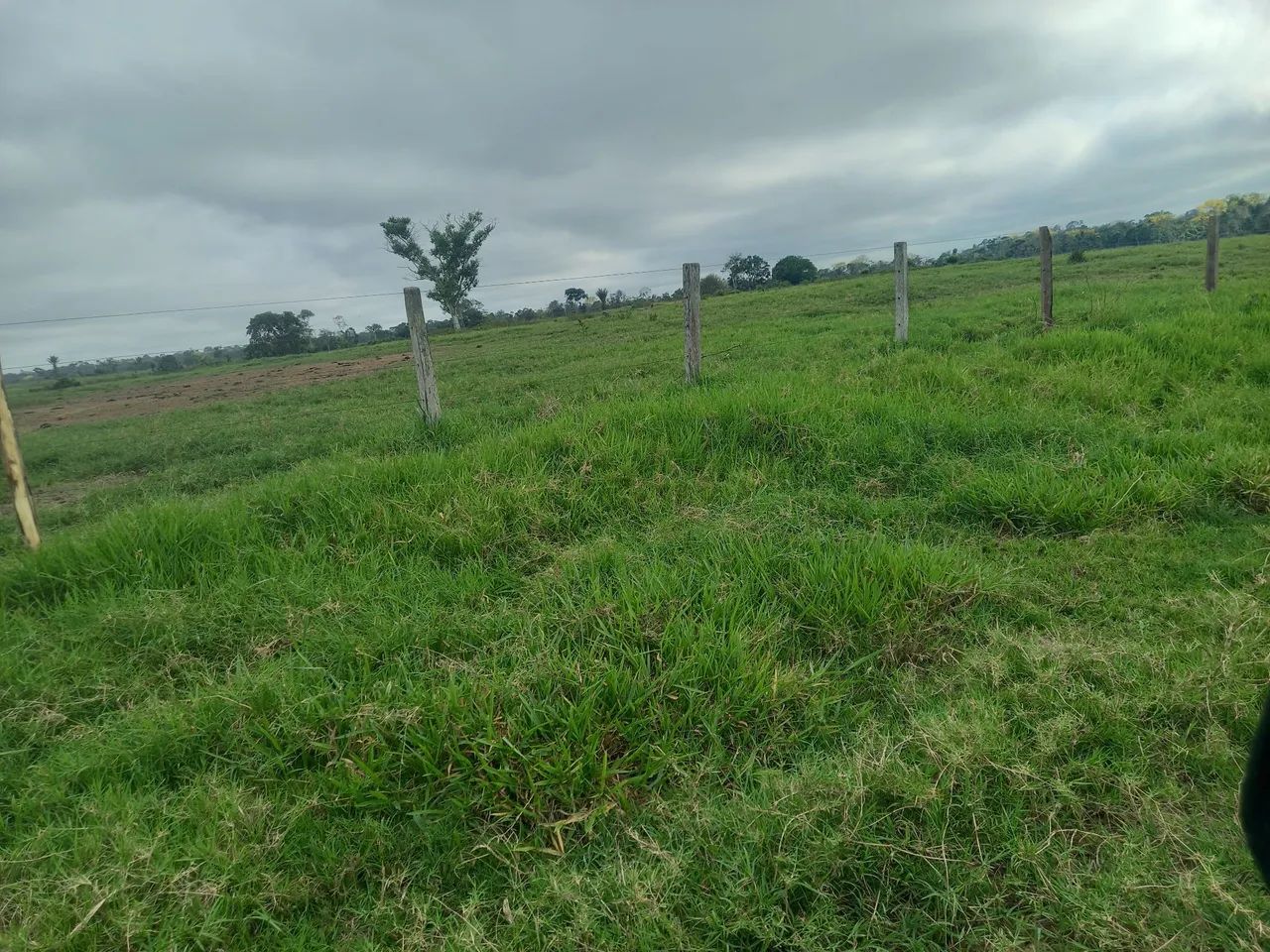 Agro 
