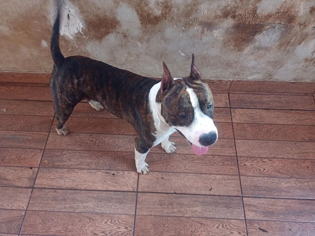 Vende-se 