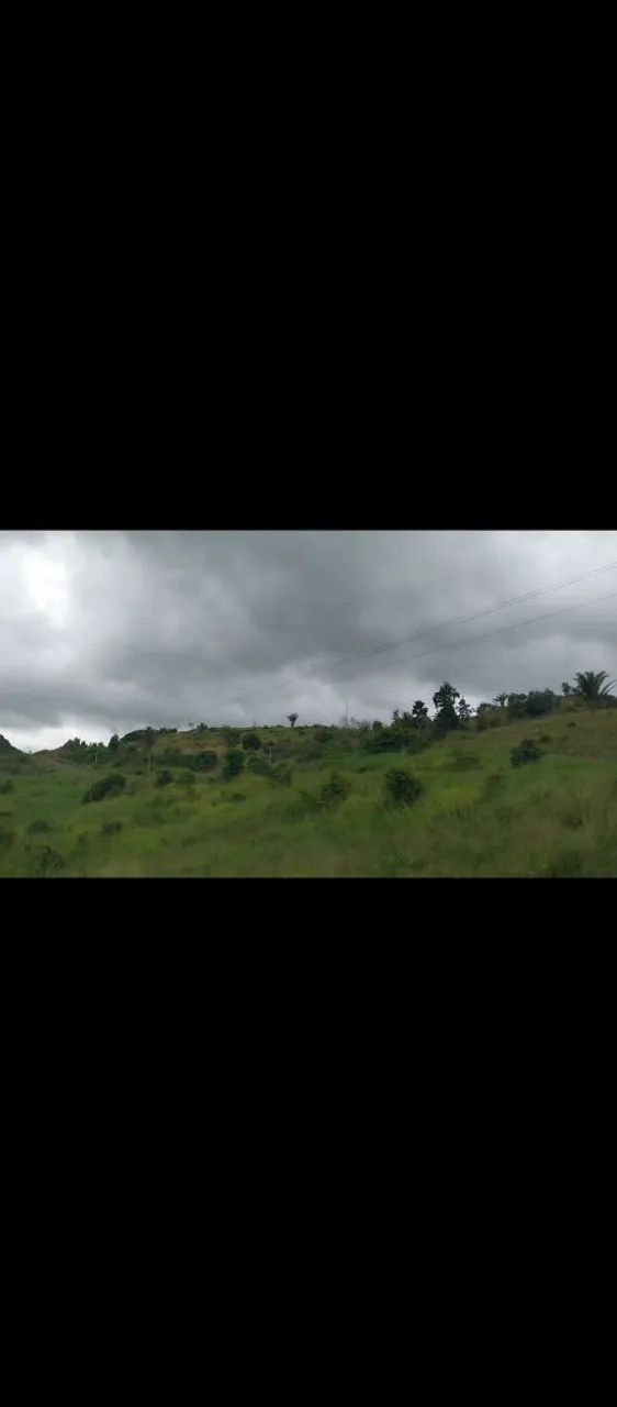 Terras agrícolas/fazendas - Foto 4