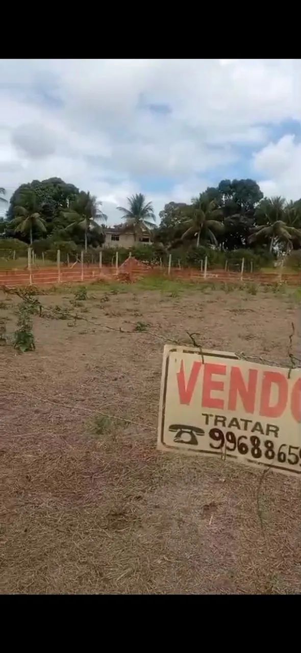 Terreno 50x30 - Foto 3