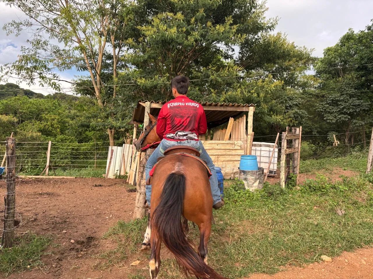 Égua  - Foto 5